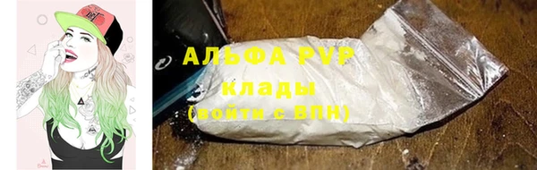 хмурый Анива