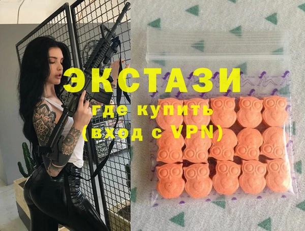 хмурый Анива