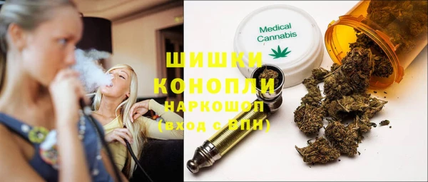 хмурый Анива