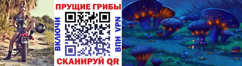 что такое   Карабулак  Галлюциногенные грибы мухоморы 